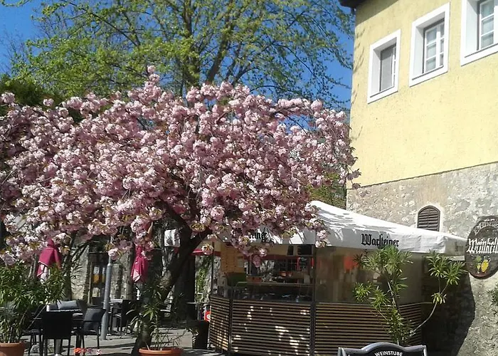 Tavas Barlang * טפולצה